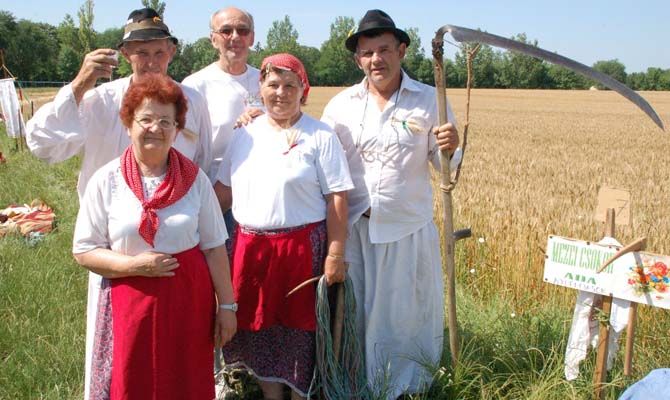 Hagyományos Aratás képek 2017. június 24. Szenttamás